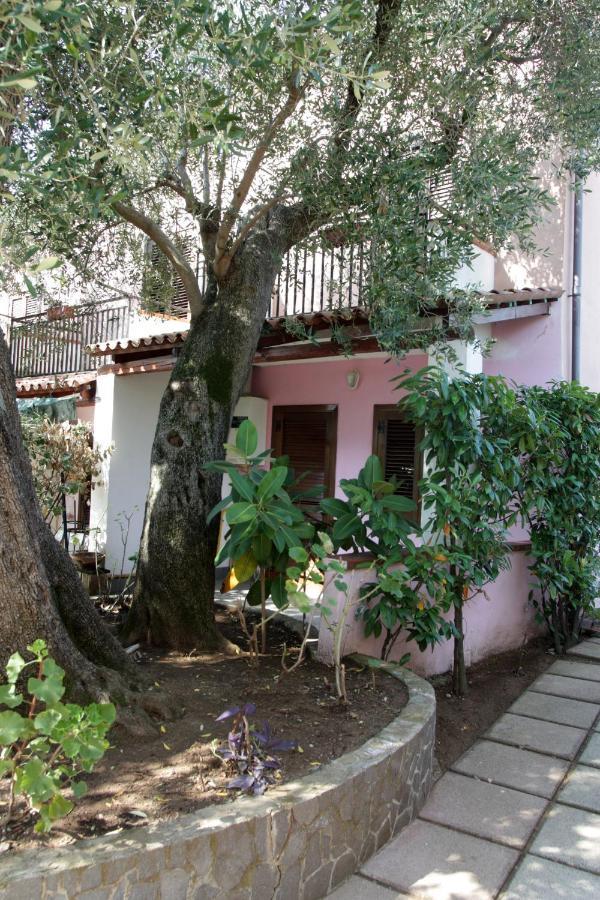 Hotel Santaclara Camerota Ngoại thất bức ảnh